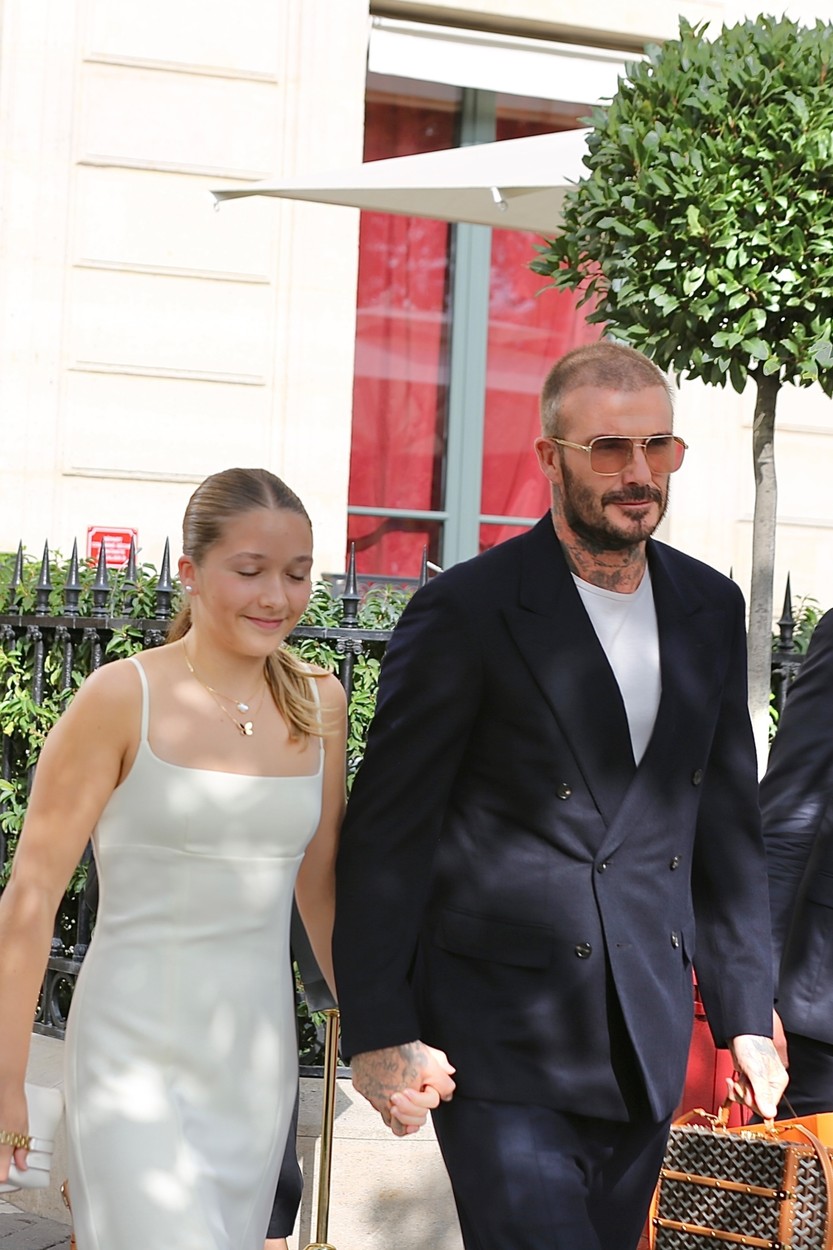 David Beckham, és Harper Párizsban