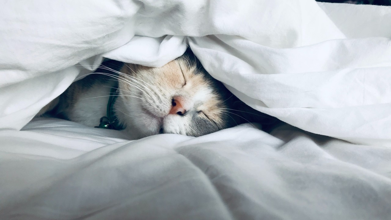 Délutáni alvás fontossága