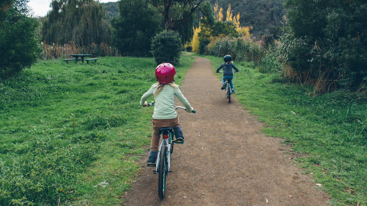Két kisgyerek az erdő közepén biciklizik