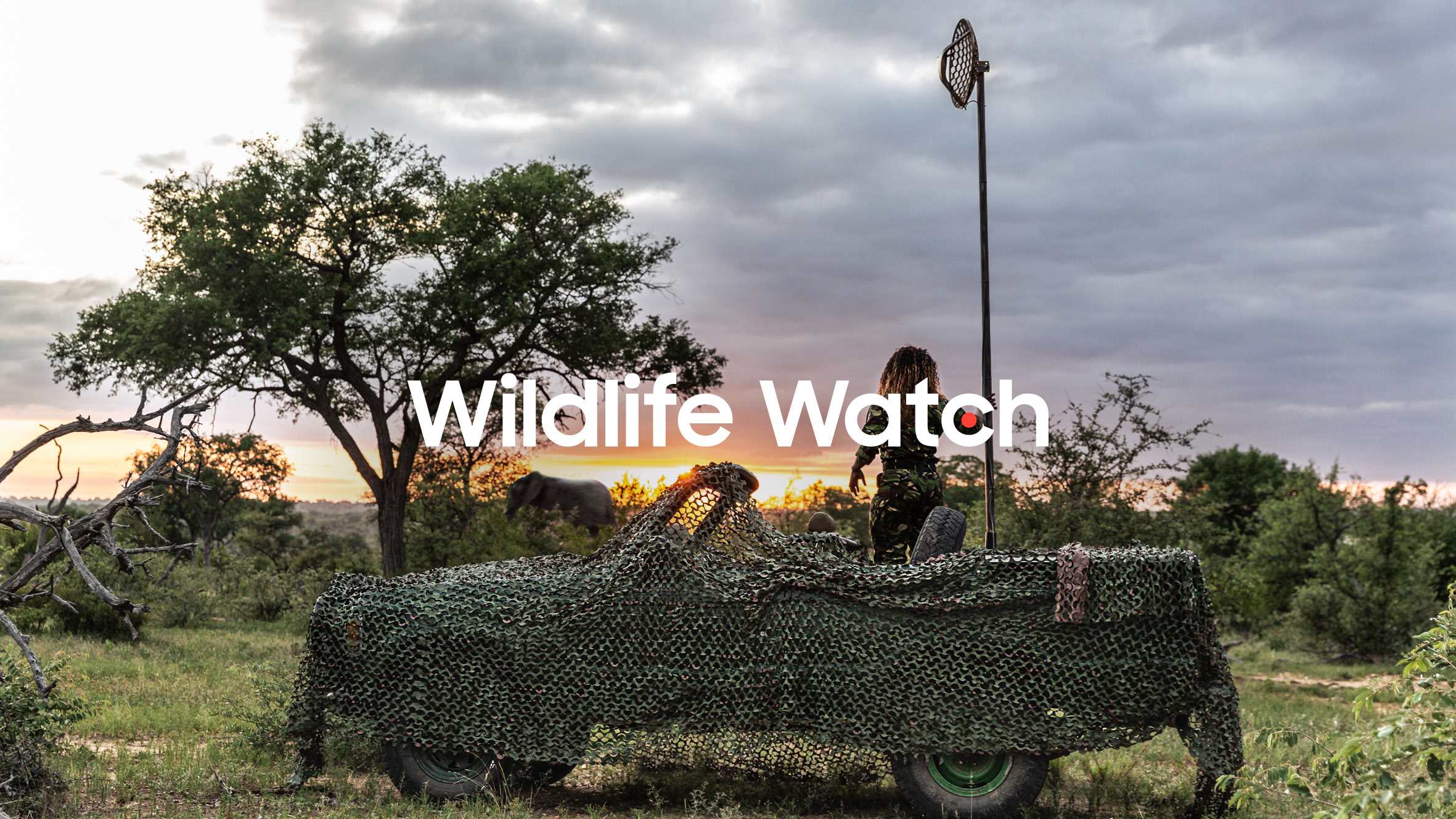 Samsung Wildlife Watch