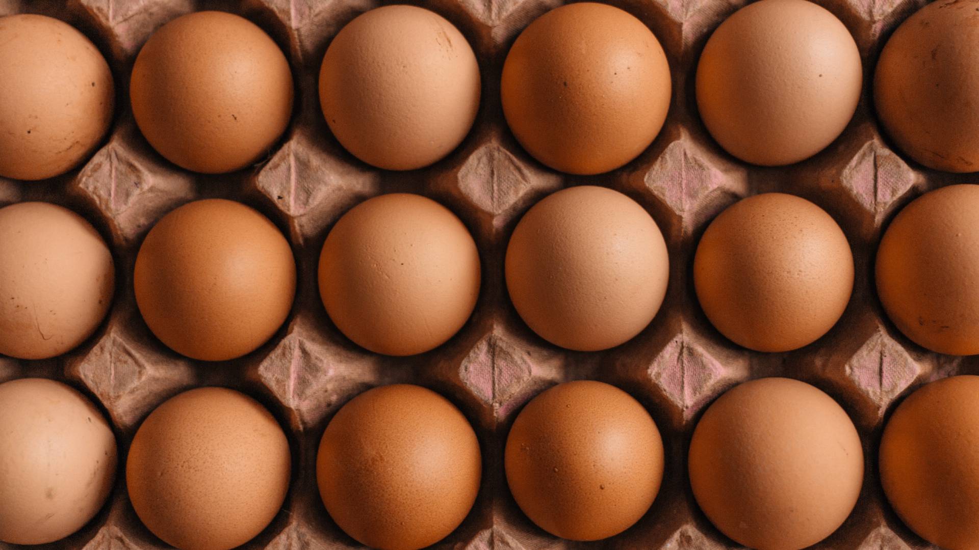 Tojások tojástartóban szabályosan elrendezve.
