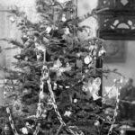 Karácsonyfa 1910-es évekből