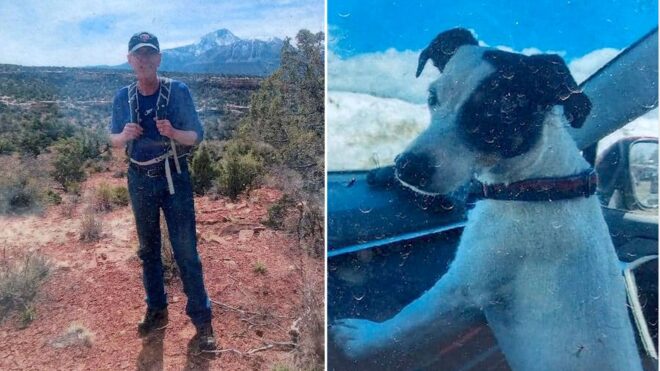 Hű kutyája őrizte a hónapok óta eltűnt kirándulót