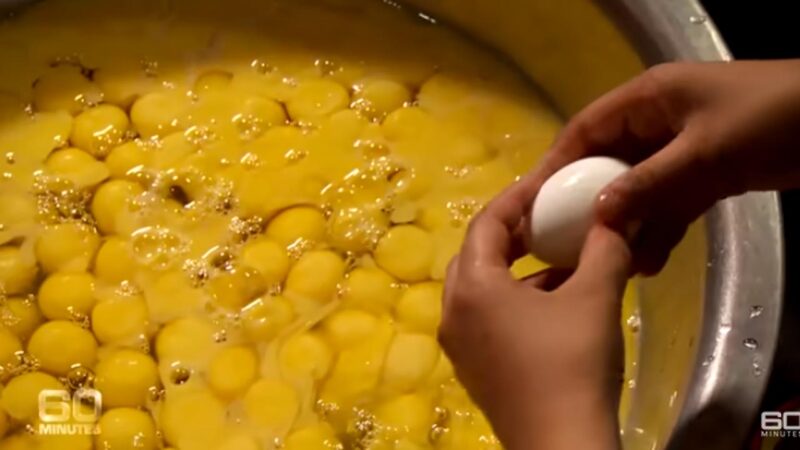 Hatalmas adagokat főznek - Forrás: 60 Minutes Australia / YouTube - videó
