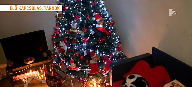A több mint 10 éve álló karácsonyfán csak a díszek cserélődnek - Forrás: TV2 / Mokka - videó