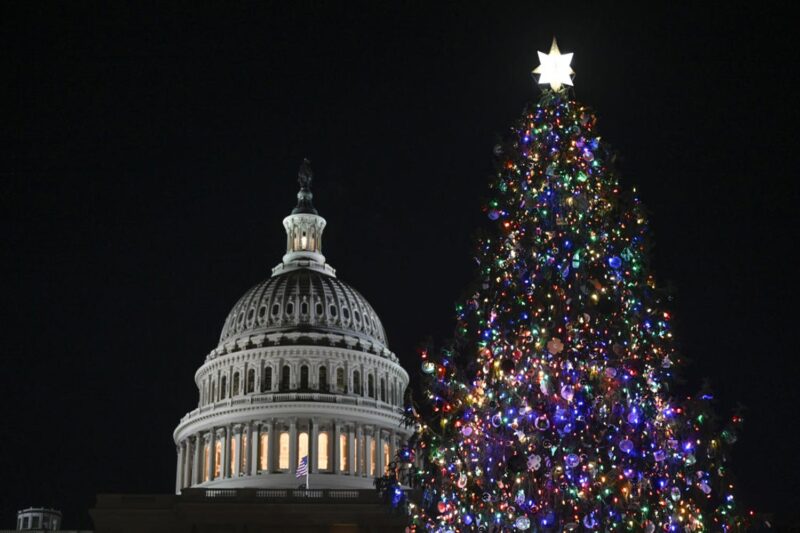 A Capitolium előtt karácsonyfa - Fotó: Celal Gunes/Anadolu via Getty Images