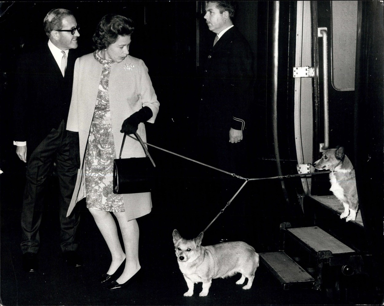 II. Erzsébet és a kutyái