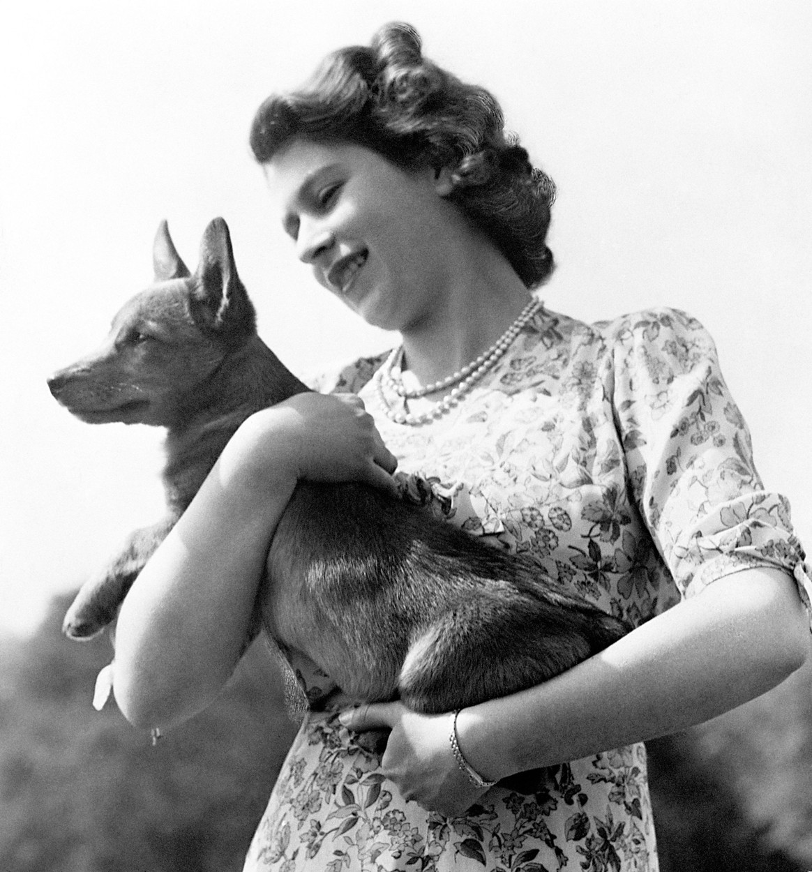II. Erzsébet és a kutyái