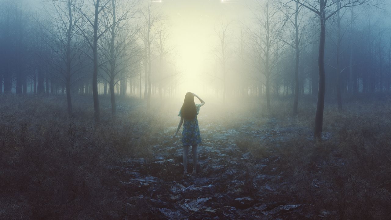Lány este az erdei ösvényen a fény felé