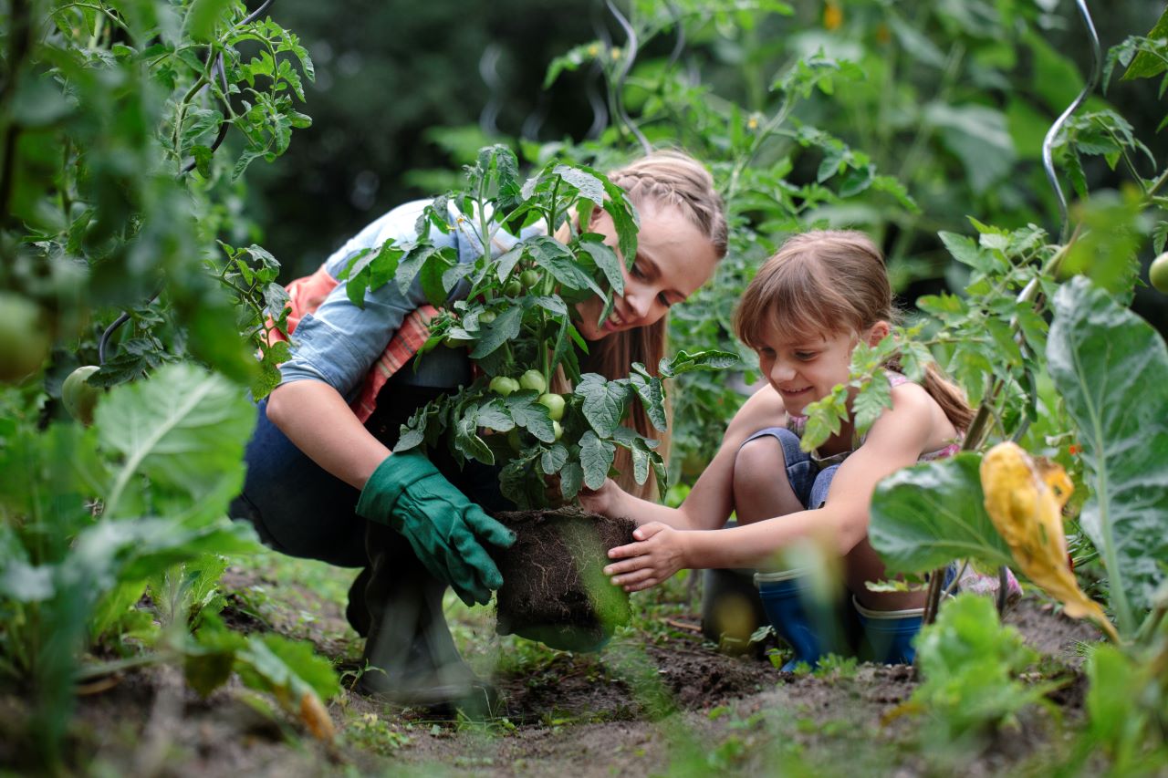 Felesleges kertészkedést tanítani az iskolában?