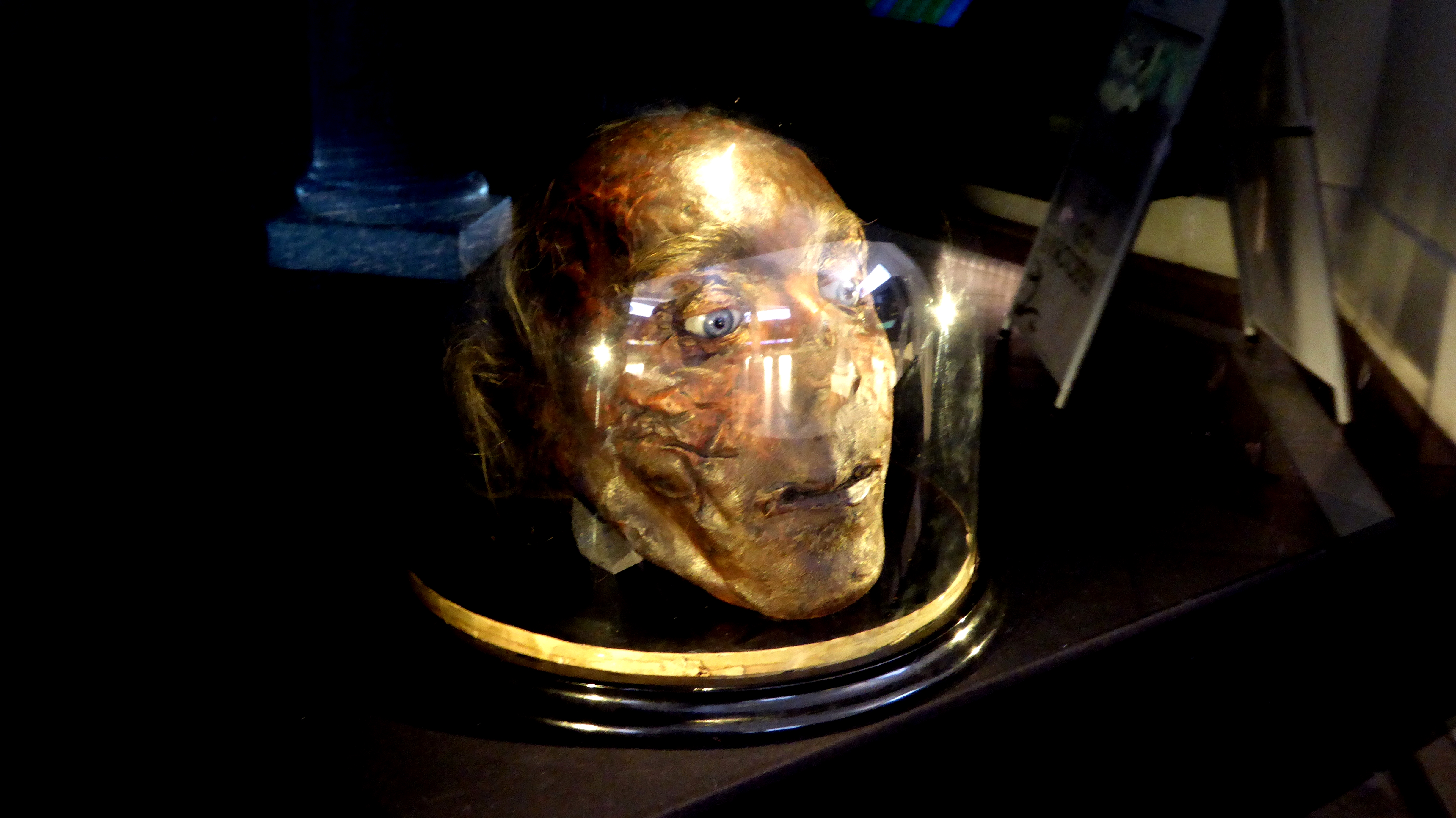 Jeremy Bentham feje (fotó: Wikipedia)