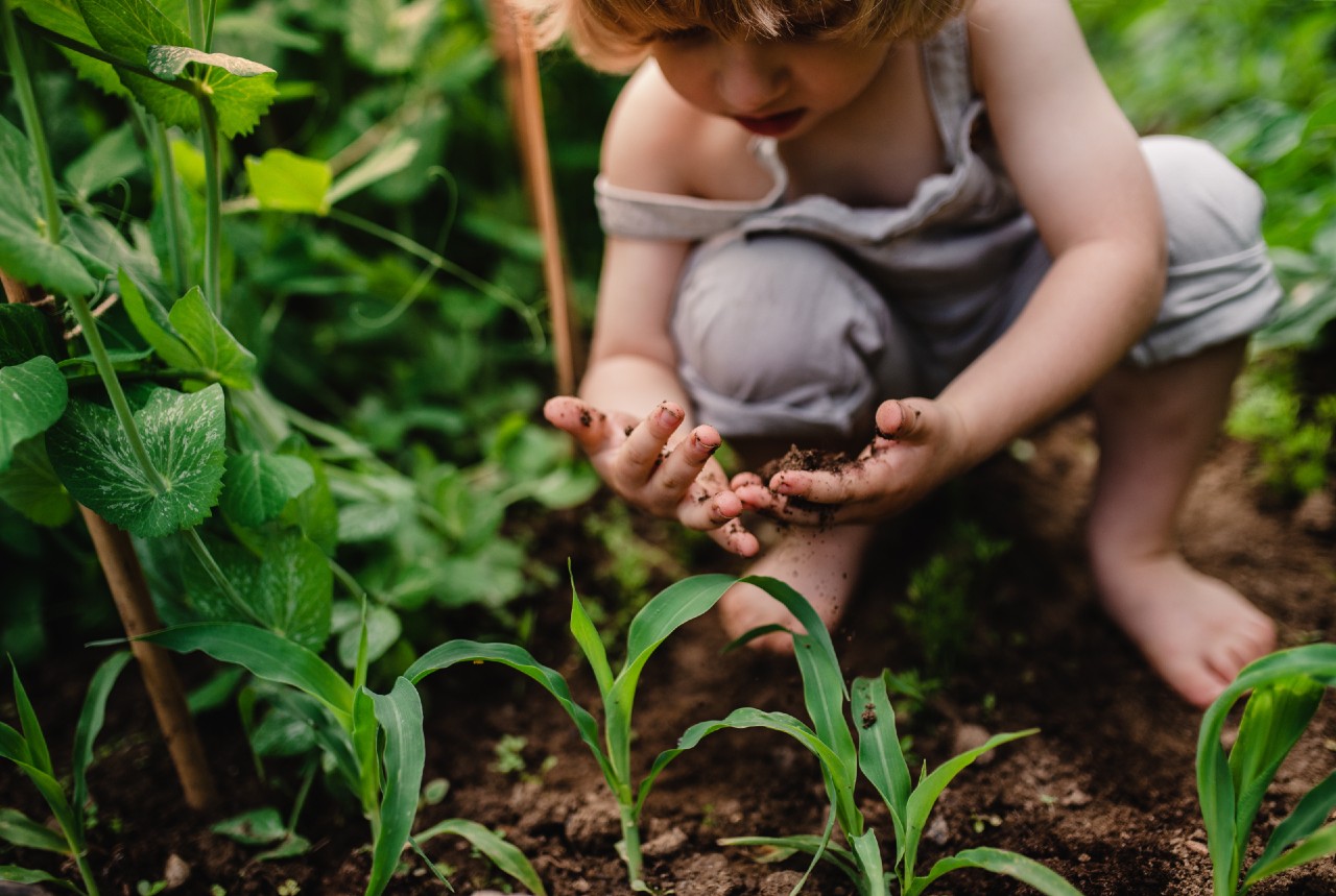 Tanuljon a gyerek kertészkedni a suliban?