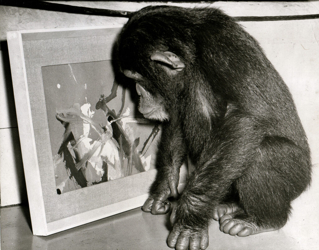 Kongó a csimpánz egyik festményével