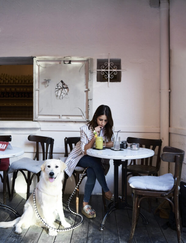Kutyával a kávézóban