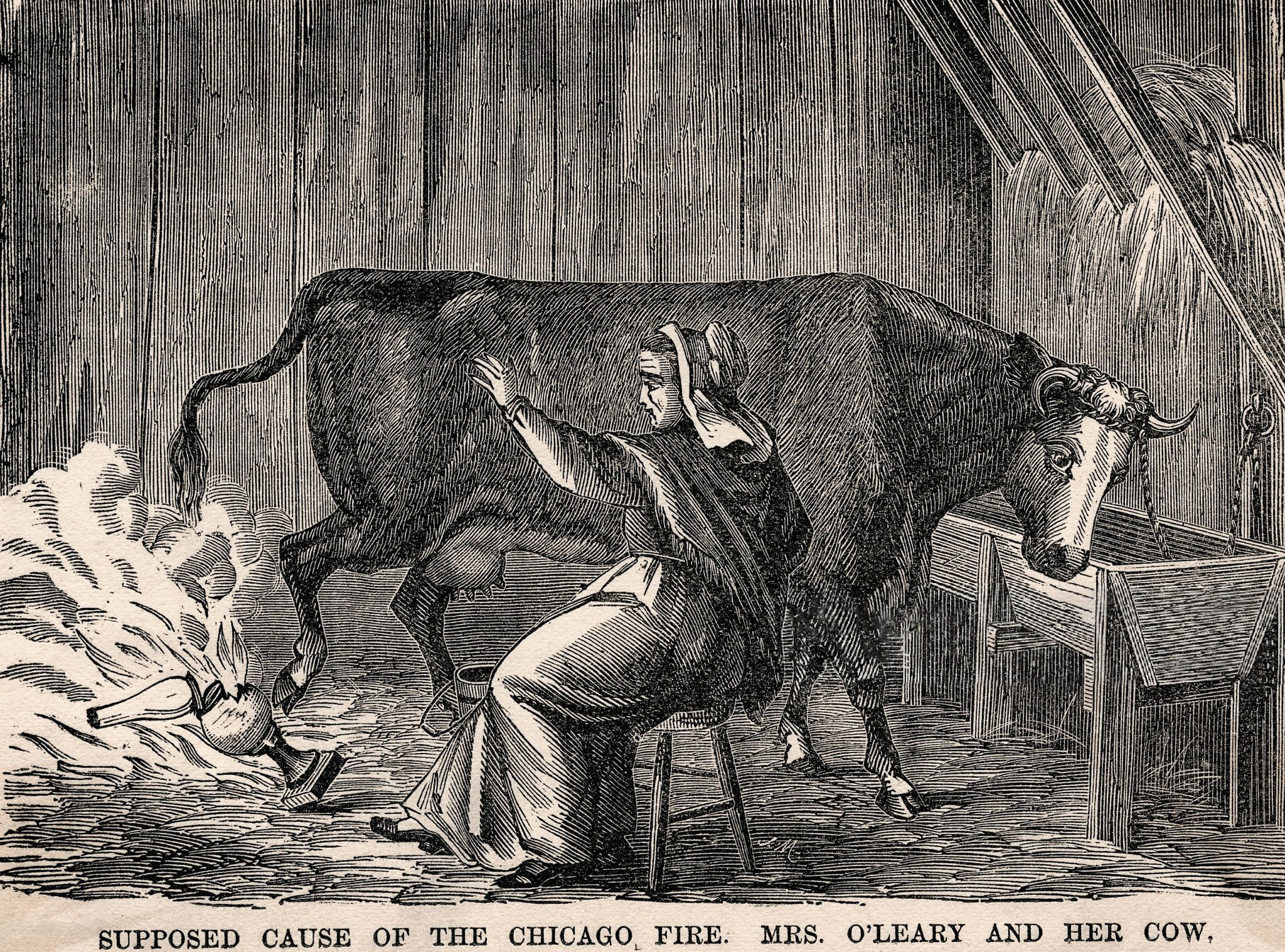 Mrs. O'Leary és a tehén aHarper's Magazine korabelii illusztrációján (forrás: Wikipedia)