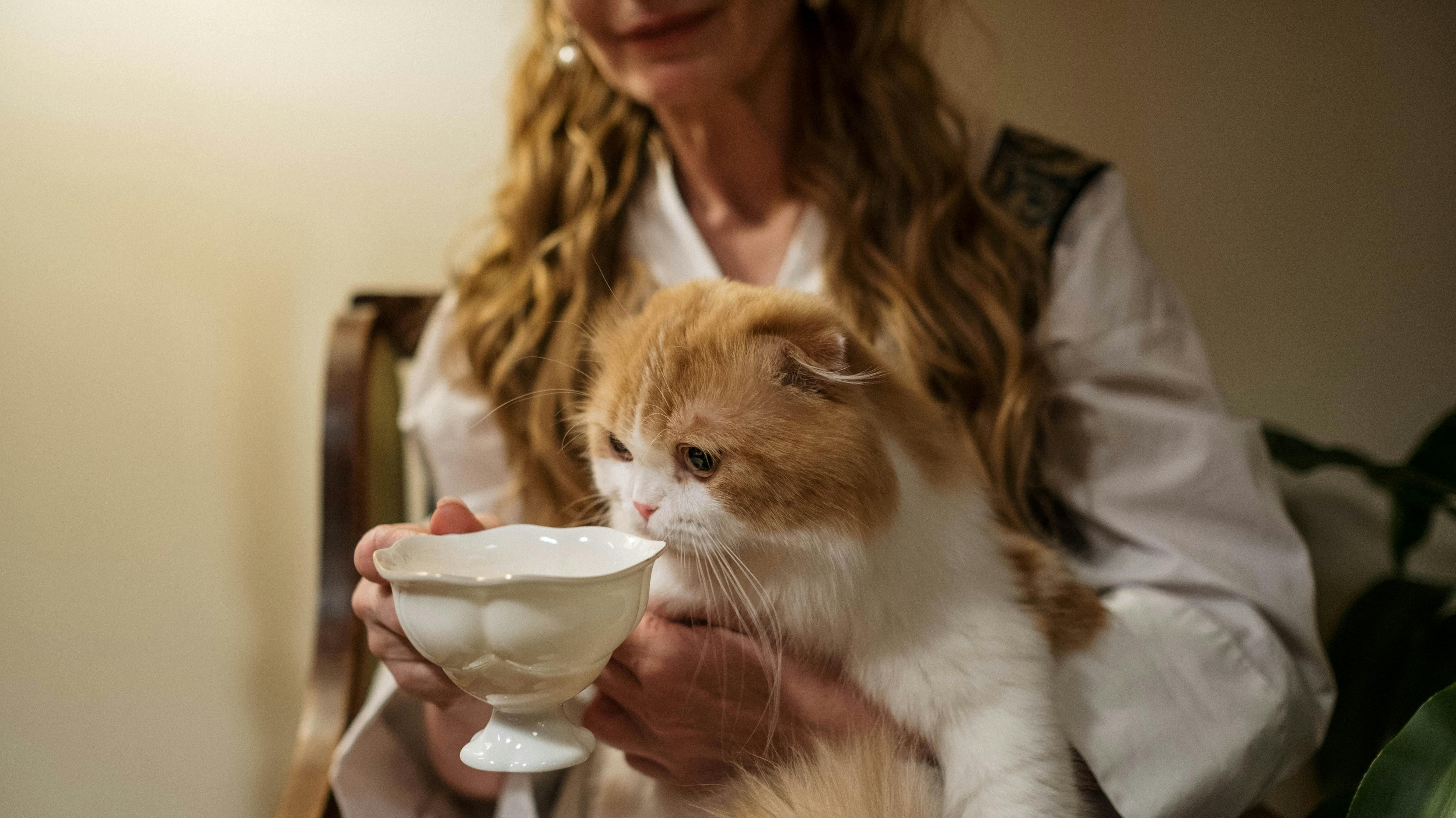 Idősebb nő macskával teázik