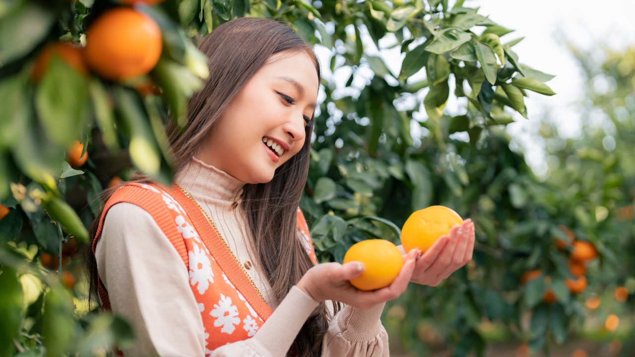 A Jeju Mandarin egy lédús vitaminbaomba. (Fotó: Getty Images)