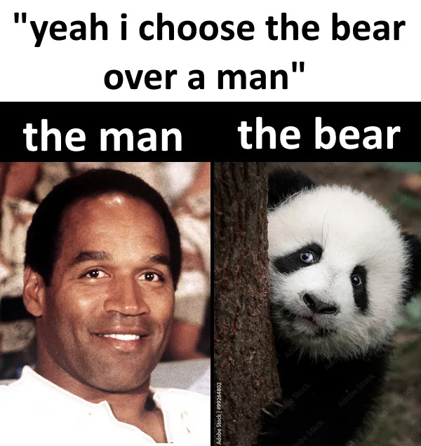 Férfi VS medve