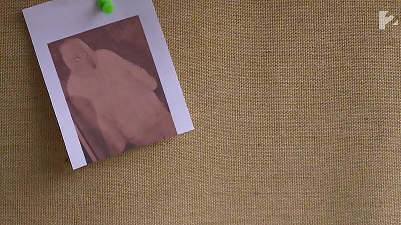 Az abádszalóki maszkos fantomról készült fotó - Forrás: TV2 / Tények Plusz - videó