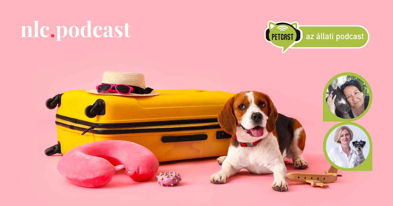 Petcast. Az állati podcast: Hol legyen a kutya, amíg nyaralunk?