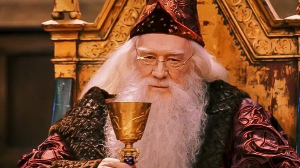 Edevis tükrénél figyelmeztette Dumbledore professzor Harry-t, hogy éljen inkább a valóságban (Fotó: Harry Potter film)