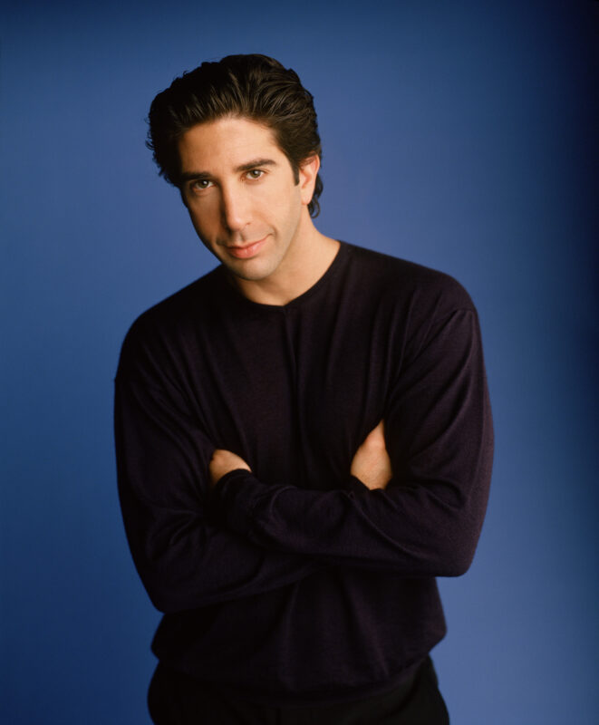 David Schwimmer 