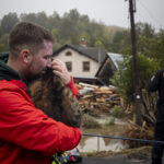 Kimentett háziállatok a cseh áradásokban