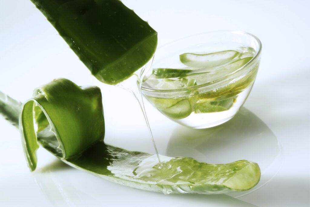 Aloe vera zselés belső