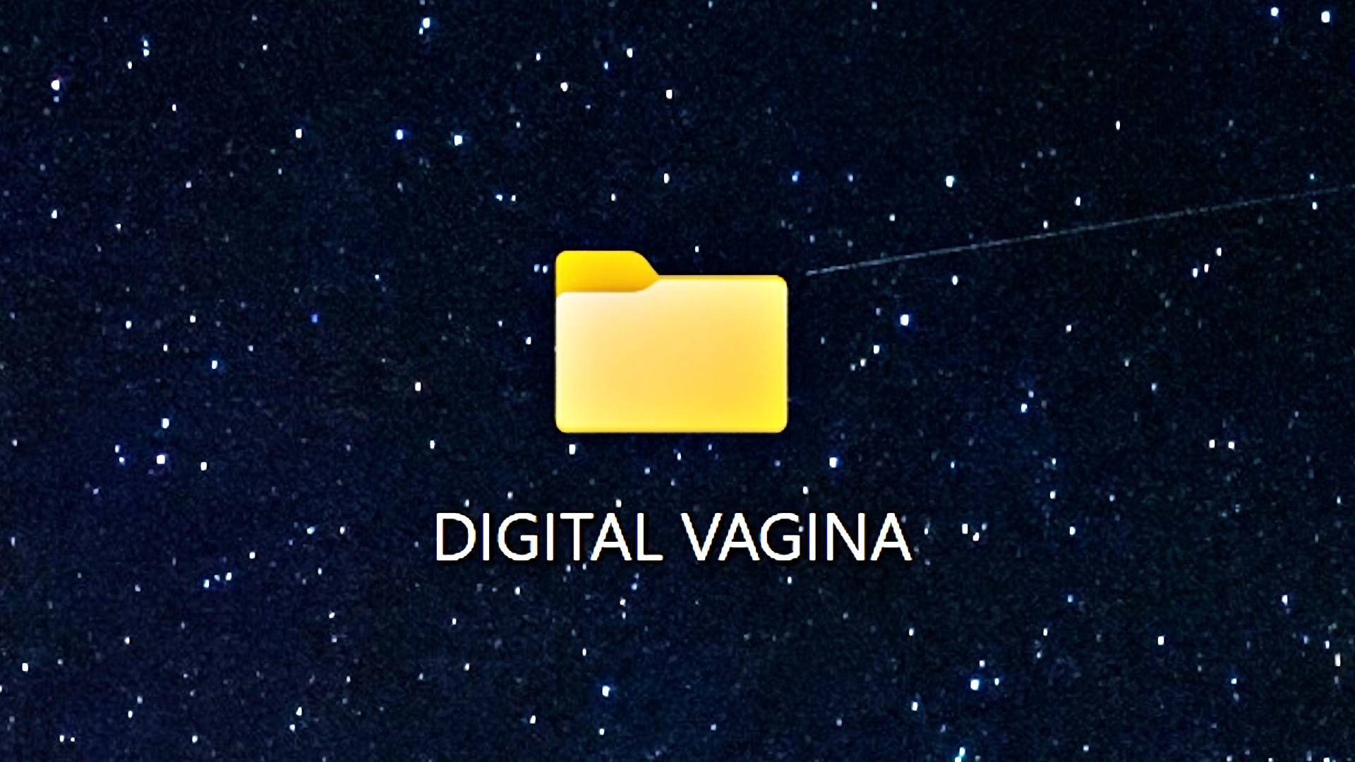 Digital Vagina file