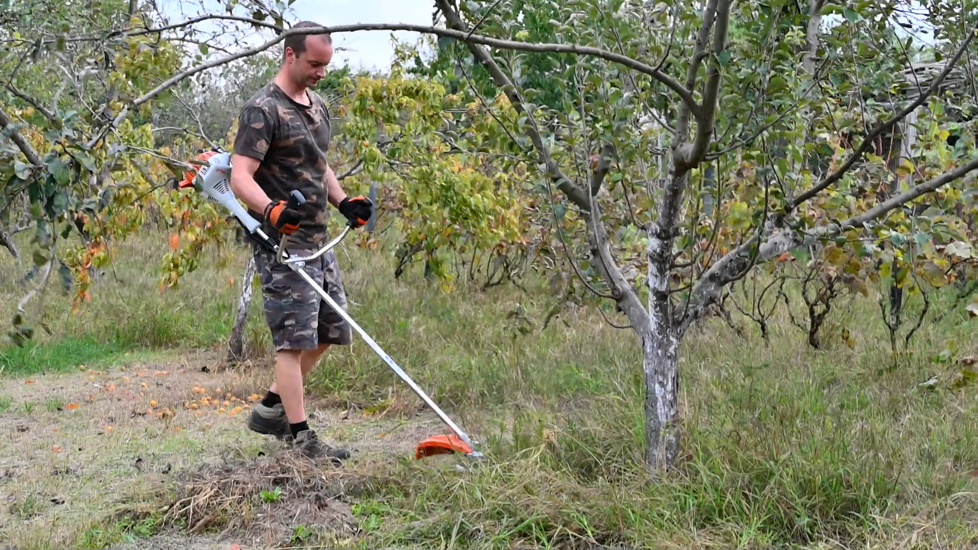 A Rendberakók munka közben