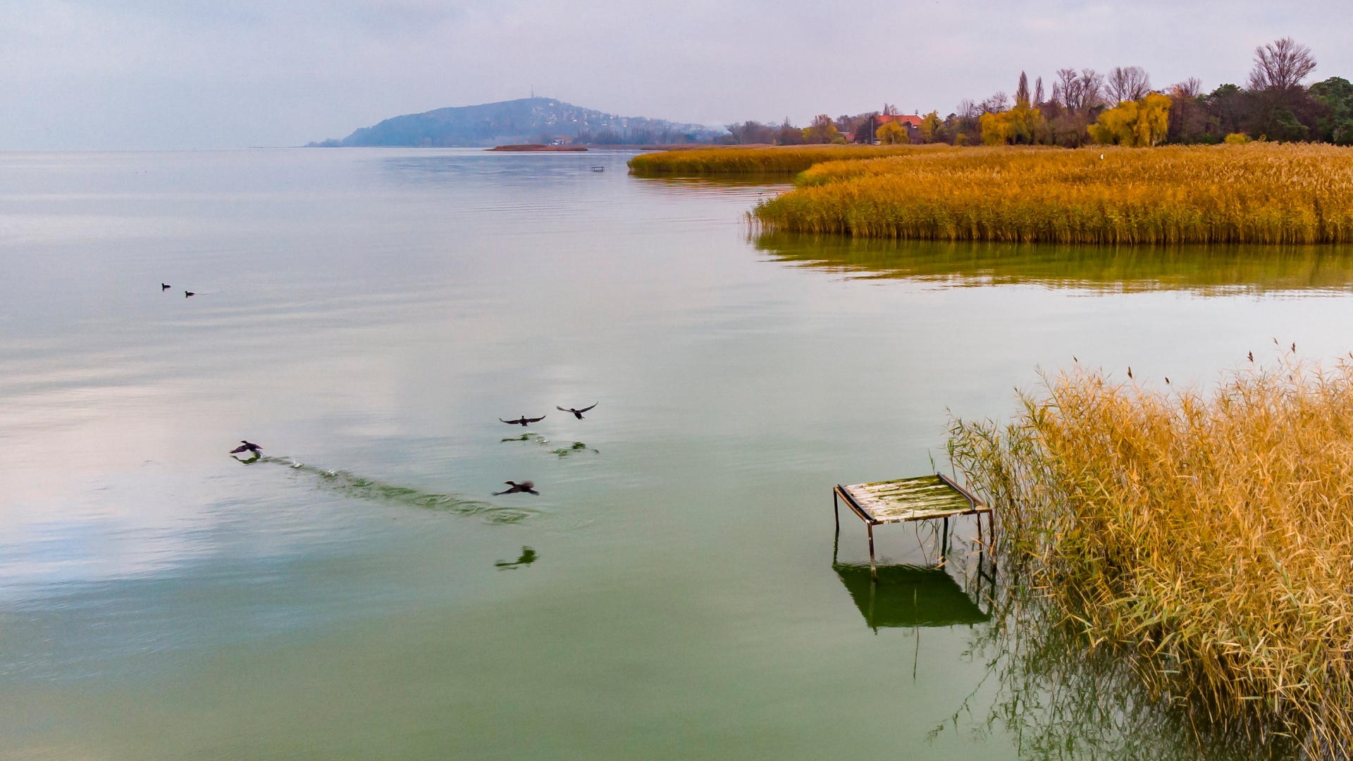 Stég Balatonfenyves közelében 2019. november 22-én