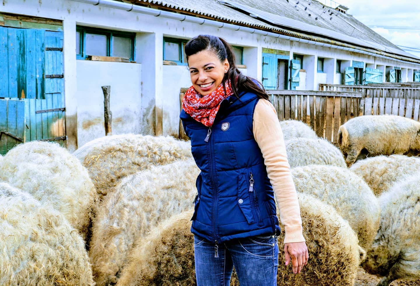 A Fekete Zsóka Mangalica Farm tulajdonosa, Fekete Zsóka az állataival