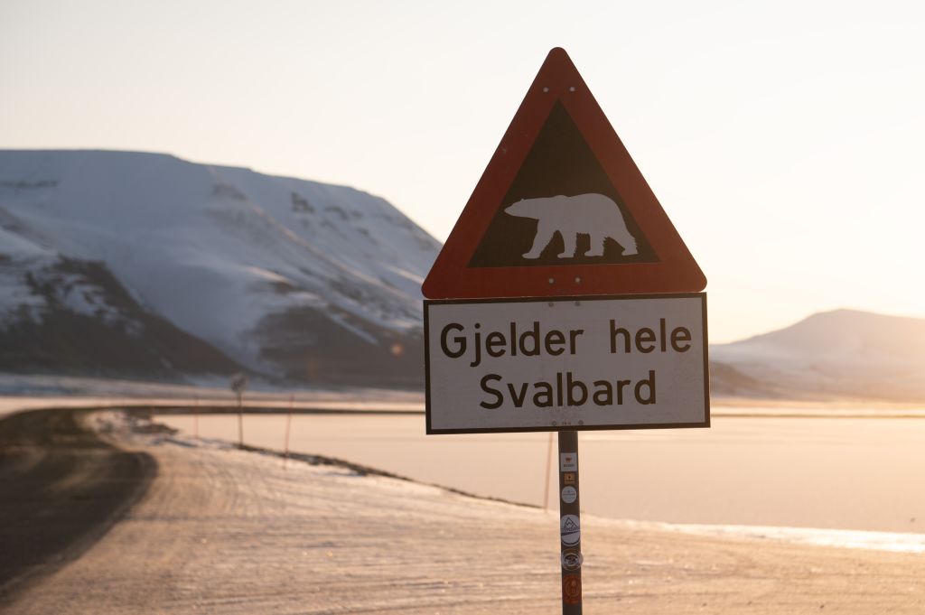 Medvékre figyelmeztető tábla Longyearbyen-ben. (Fotó: Sebastian Kahnert/Getty Images)