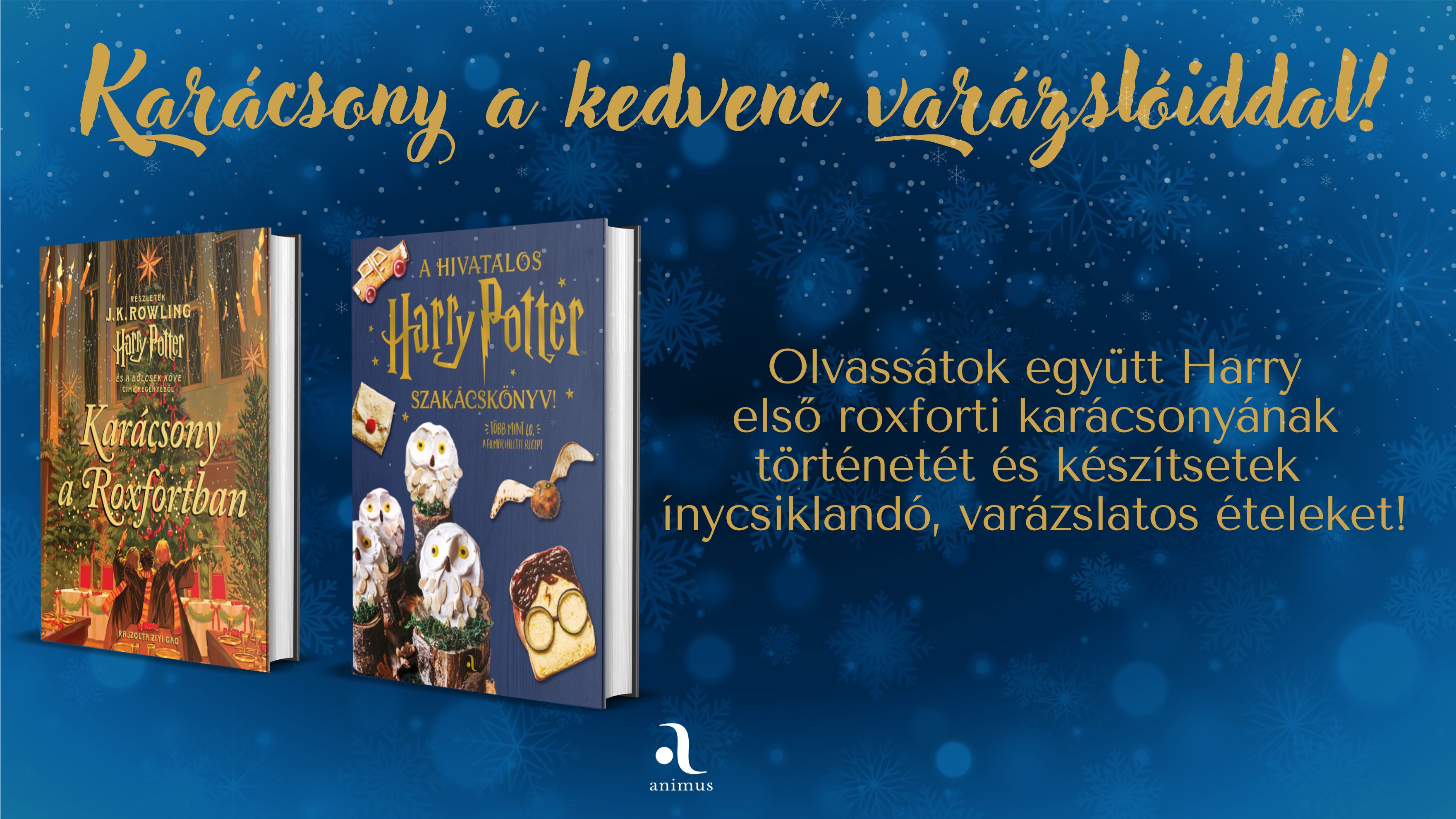 Harry Potter karácsonyi könyvcsomag