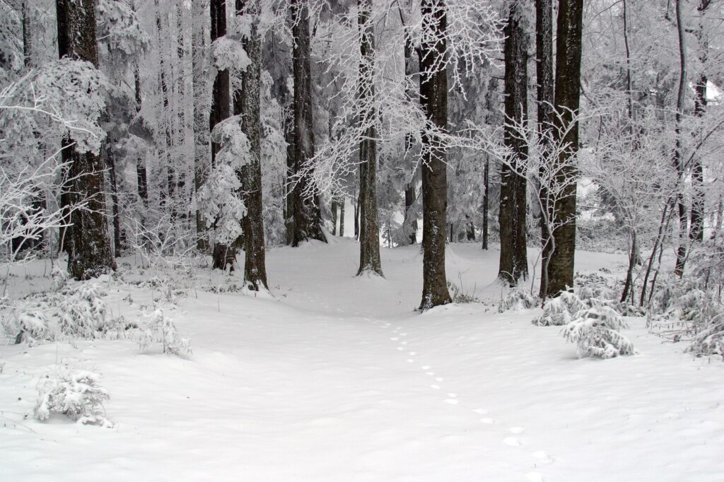 Medvednica-hegység