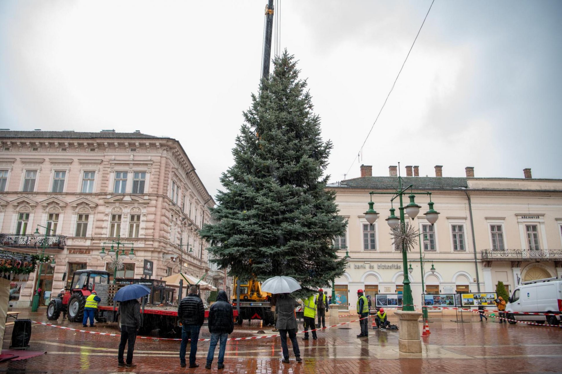 Szeged karácsonyfája 2024-ben