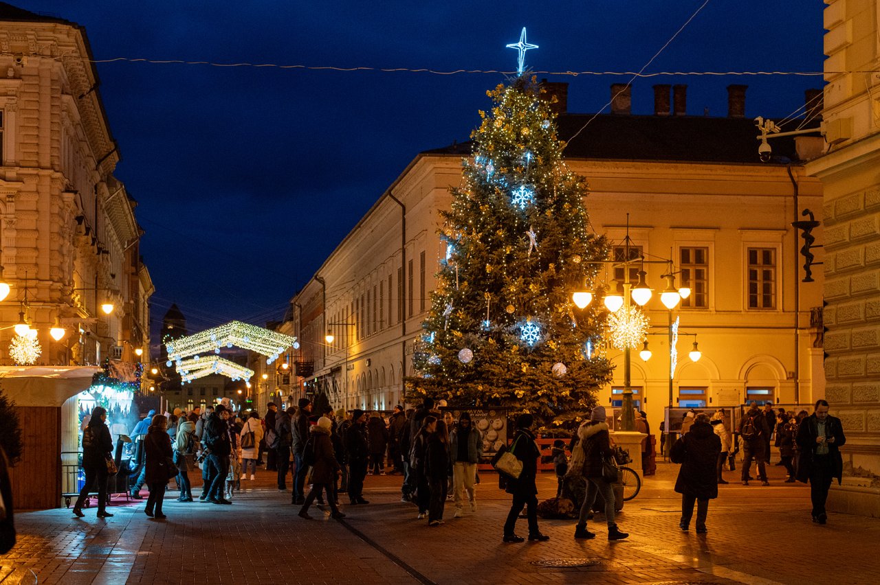 Szeged karácsonyfája 2024-ben