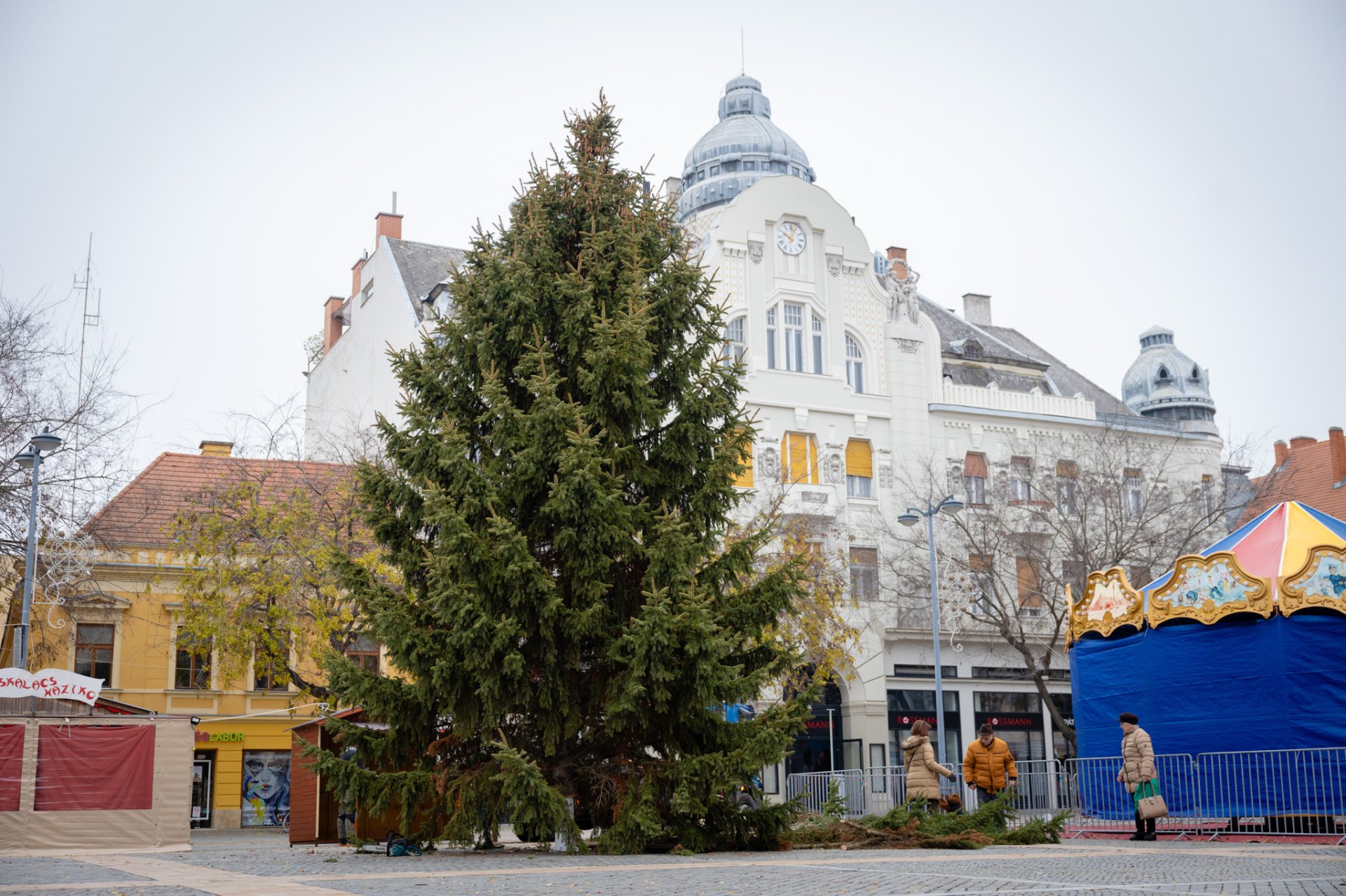 Szombathely karácsonyfája 2024-ben