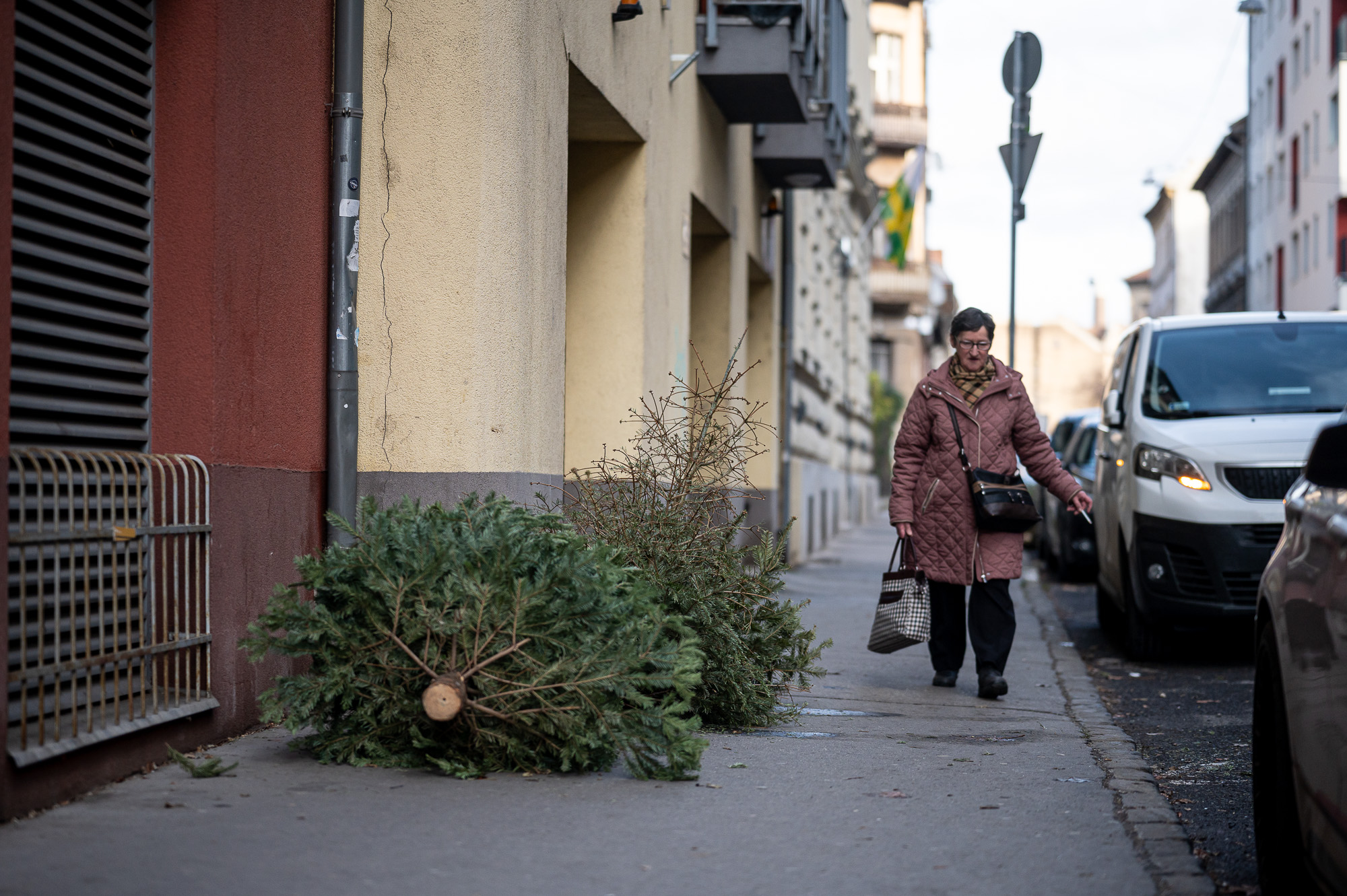 A magyar a legkreatívabb nép a világon, nézd ezeket a fotókat a halott fenyőfákról!